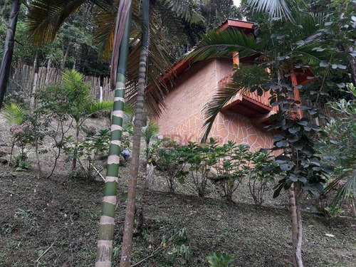 Imagem 5 de 11 de Chácara Com 3 Dormitórios À Venda, 2000 M² Por R$ 860.000 - Zona Rural - Santo Antônio Do Pinhal/sp - Ch0627