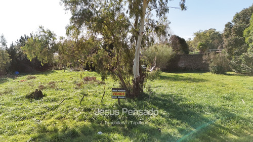 En Venta Terreno Baldio Tapalque.