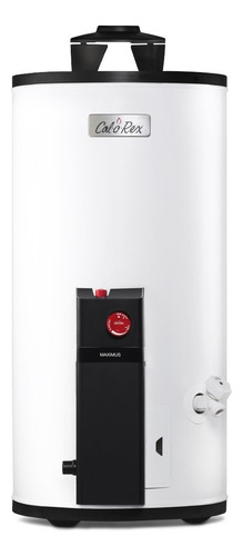 Boiler Calorex G10 Maximus Gas Lp 10 Galones Blanco