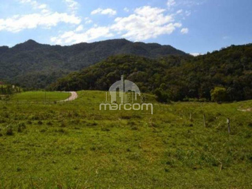 Imagem 4 de 7 de Terreno Rural Rio Do Meio. - Mte-178