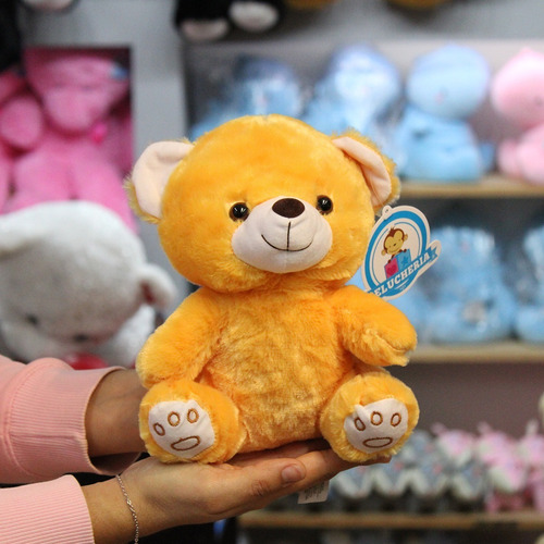 Imagen 4 de 6 de Peluches Mayoreo 12 Pzas Osos Color Café 20 Cm Envío Gratis