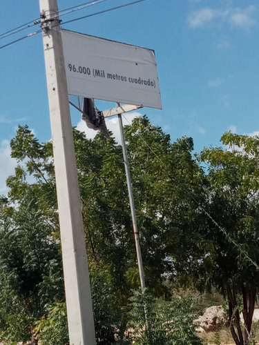 Vendo En Nagua Cerca Del Malecón 19 Mil Metros Morrob