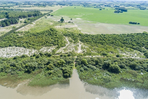 Imagen 8 de 16 de Campos Venta Carmelo Sobre Río De La Plata