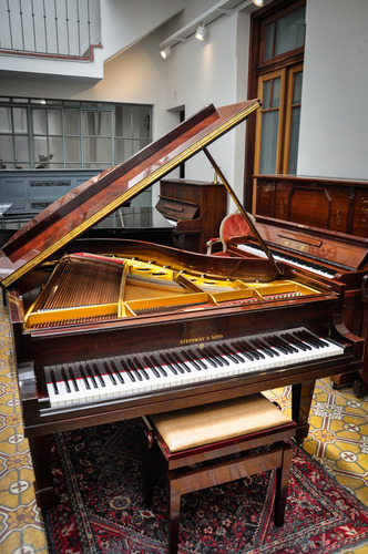 Piano Steinway Sons Cola (garantía + Traslado + Afinación) Pluma De Caoba