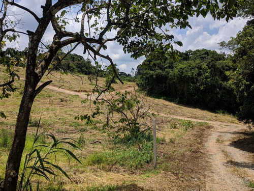 Ótima Localização Terrenos De 600m² B
