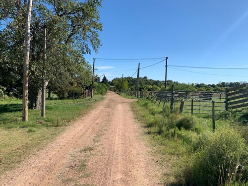 Ml Propiedades Vende Chacra De 2 Ha Y 3721 M2 Las Chircas