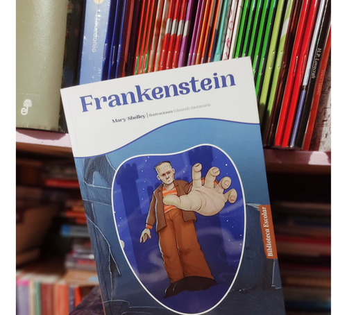 Frankenstein Mary Shelley Edición Para Niños Contiene Guía 