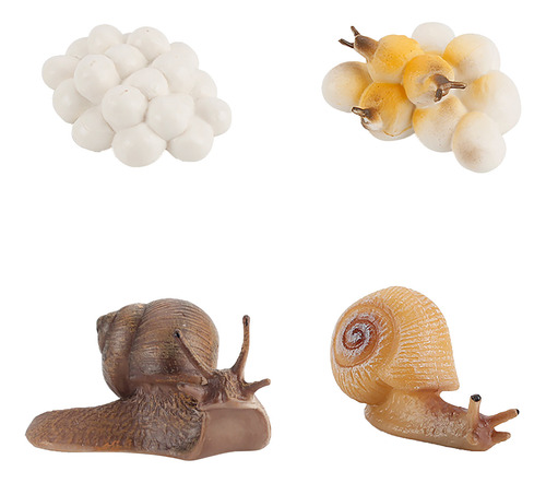 Figura De Insecto En Forma De Z, 4 Piezas, Ciclo Vital De Pl
