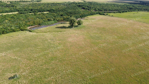 Campo Con Casa En Venta 65 Hectáreas
