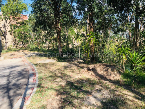 Venta De Extenso Terreno En Los Naranjos Del Cafetal / Gc