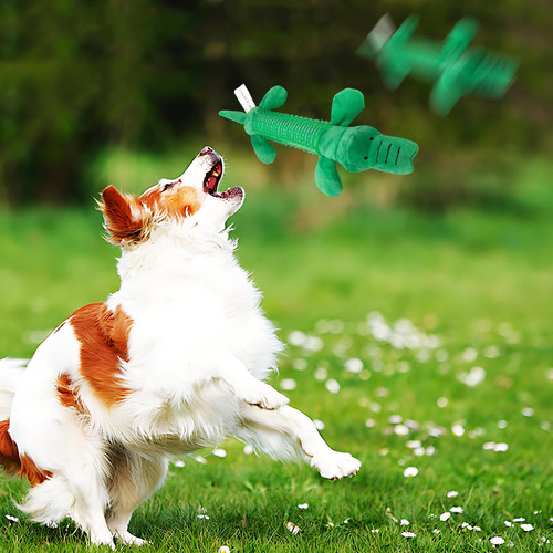Juguetes Para Mascotas: Perros Rechinando Los Dientes, Mordi