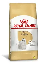 Comprar Ração Royal Canin Maltes Adulto  1kg
