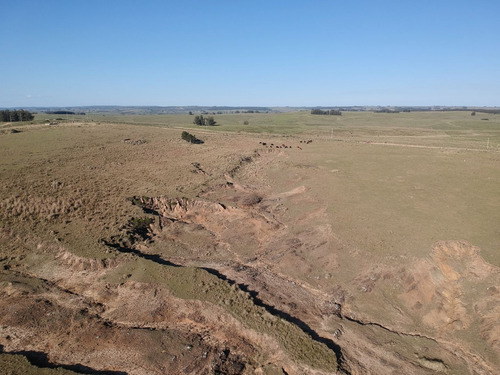 Venta Chacra 13 Has Arroyo De Medina San Carlos (ref: Tbr-3208)