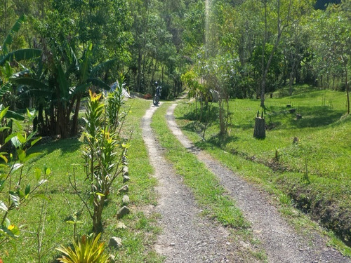 Chacara - Ch00015 - 33311828