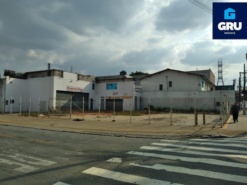 Imagem 2 de 8 de Excelente Terreno Plano - Te1282