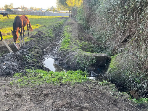 Se Vende Parcela Sector Caracol Lo Miranda Doñihue Rancagua