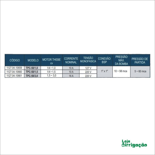 Imagem 2 de 3 de Controlador De Pressão Eletrônico Tpc-58/1,5cv Thebe - 220v