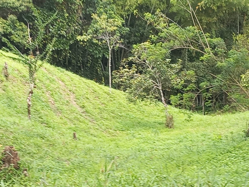 Imagen 3 de 8 de Venta De Casa Lote Esquinero A 1 Km De Villeta