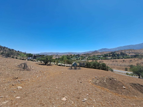 Imagen 5 de 11 de Hacienda De Chacabuco. Excelente Sitio En Venta