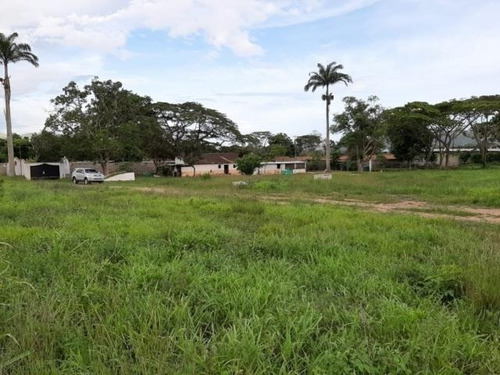 Imagen 5 de 12 de Finca En Venta En Nirgua Yaracuy Marco Sevilla C425989