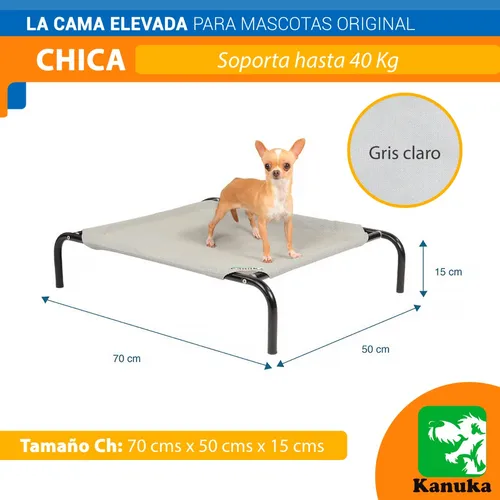 Catre perro 2025