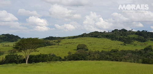 Imagem 13 de 26 de Fazenda Rural À Venda, Zona Rural, Garça. - Fa0003