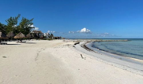 Terreno Con Acceso Al Mar En Holbox