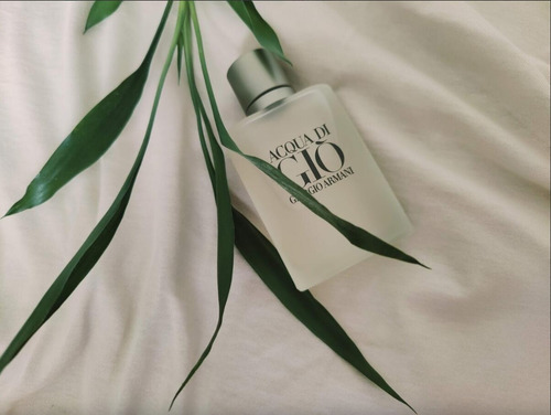 Acqua Di Gio Homme Edt 100 Ml Hombre