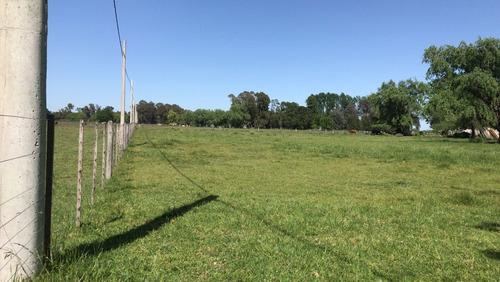 Imagen 6 de 10 de Vendo Lotes En Zona De Casas Quintas!!