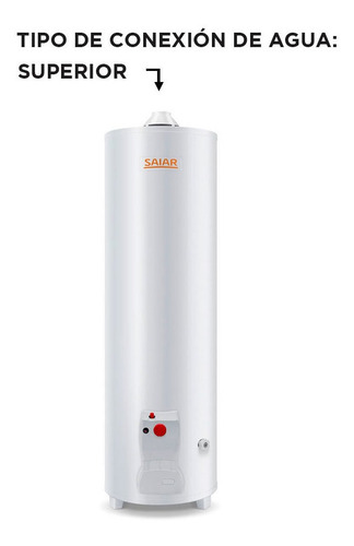 Termotanque A Gas De Pie Saiar By Rheem 80 Litros Tpg080msa