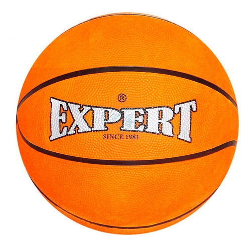 Pelota De Basketball Expert Nº7 De Goma Básquetbol - El Rey