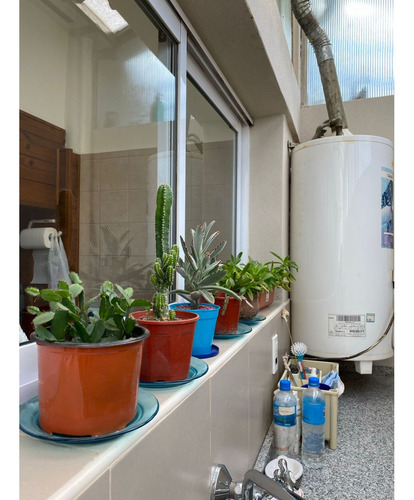 Venta Ph Urquiza 2 Ambientes Altolaguirre 1900 Excelente Propiedad Sin Expensas 62 Metros Patio Lavadero Luz Sol