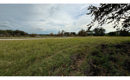Lotes En Parcelación Cerrada En Venta Ginebra Valle Del Cauca Colombia