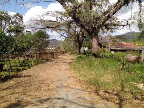 Imagen 9 de 11 de Finca En Venta En Bejuma, Carabobo