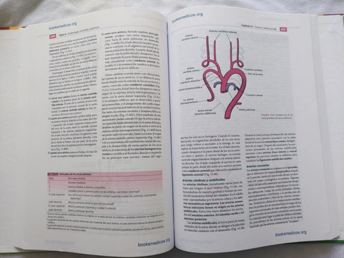 Embriologia Medica Langman 13 Ed