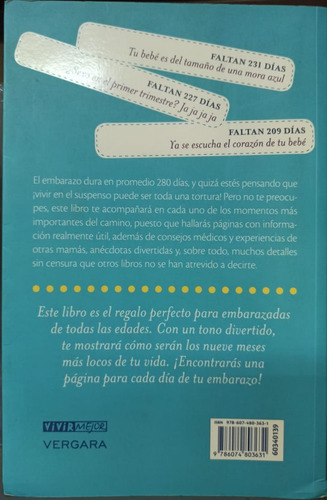 Cuenta Regresiva Del Embarazo Susan Magee Y Kara Nakisbendi (Usado)