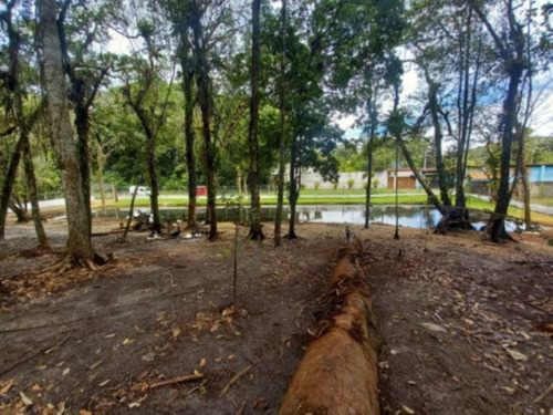 Imagem 10 de 28 de Chácara Com Lago, Galinheiro, Espaço Para Plantação, Espaço Amplo Para Criação De Animais Em Geral E Com 2.925 M² De Área Total, No Jardim Coronel, Em Itanhaém Ref: 9580/ac