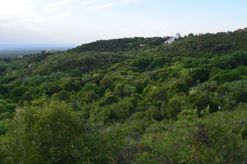 Imagen 12 de 14 de Lote De 6032m2 En Los Nogales En Villa De Merlo !