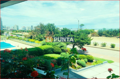 Imagen 19 de 19 de Apartamento En Alquiler Anual