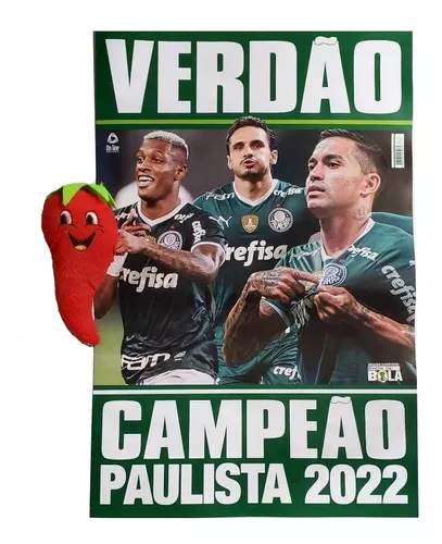 Baixe o pôster do Palmeiras campeão paulista de 2022 - 03/04/2022 - Esporte  - Folha