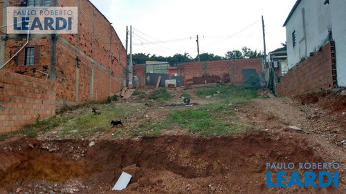 Imagem 12 de 13 de Terreno - Residencial Jardim Paraná - Sp - 505882