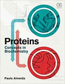 Proteins Concepts In Biochemistry