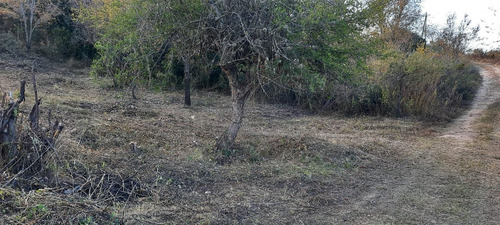 Imagen 4 de 15 de Vendo Terreno En La Falda