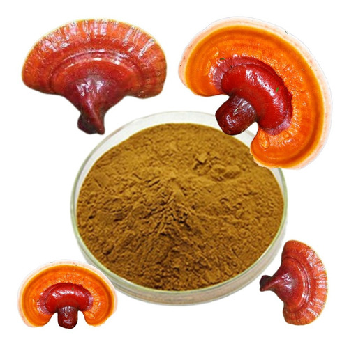 Ganoderma Lucidum Extracto 100 Gramos.