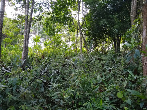 Vendo Chacara De 5000m² Embu-guaçu Com Escritura ( 4193 )