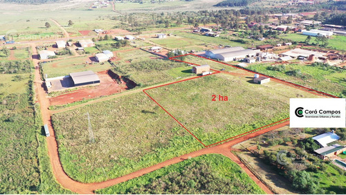 Se Vende Terreno De 2 Ha En Gobernador Virasoro, Corrientes