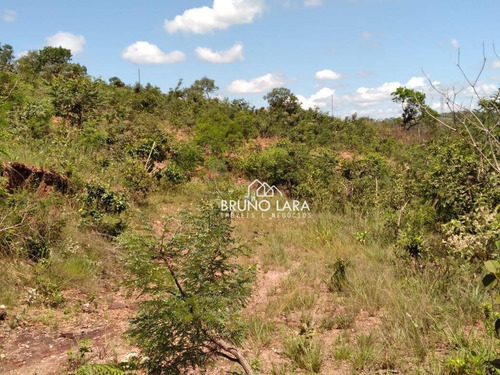 Imagem 16 de 30 de Terreno A Venda Em Igarapé Bairro Santa Ana - Te0230