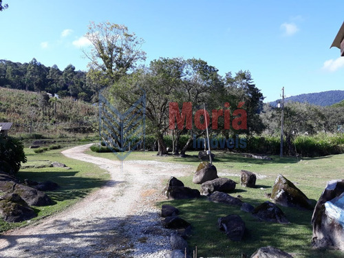 Imagem 1 de 30 de Chácara/fazenda/sítio Com 4 Dormitórios À Venda Com 80206m² Por R$ 460.000,00 No Bairro Tunas - Tunas / Pr - Mch-0030