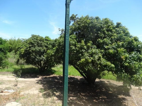 Chácara Com 3 Dormitórios À Venda, 8513 M² Por R$ 1.400.000,00 - Santa Elisa - Itupeva/sp - Ch0057