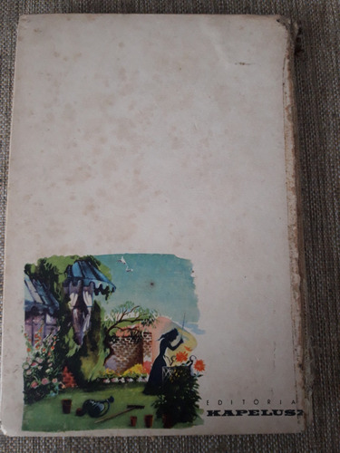 David Copperfield. Charles Dickens. Kapelusz Colec. Iridium (Usado)